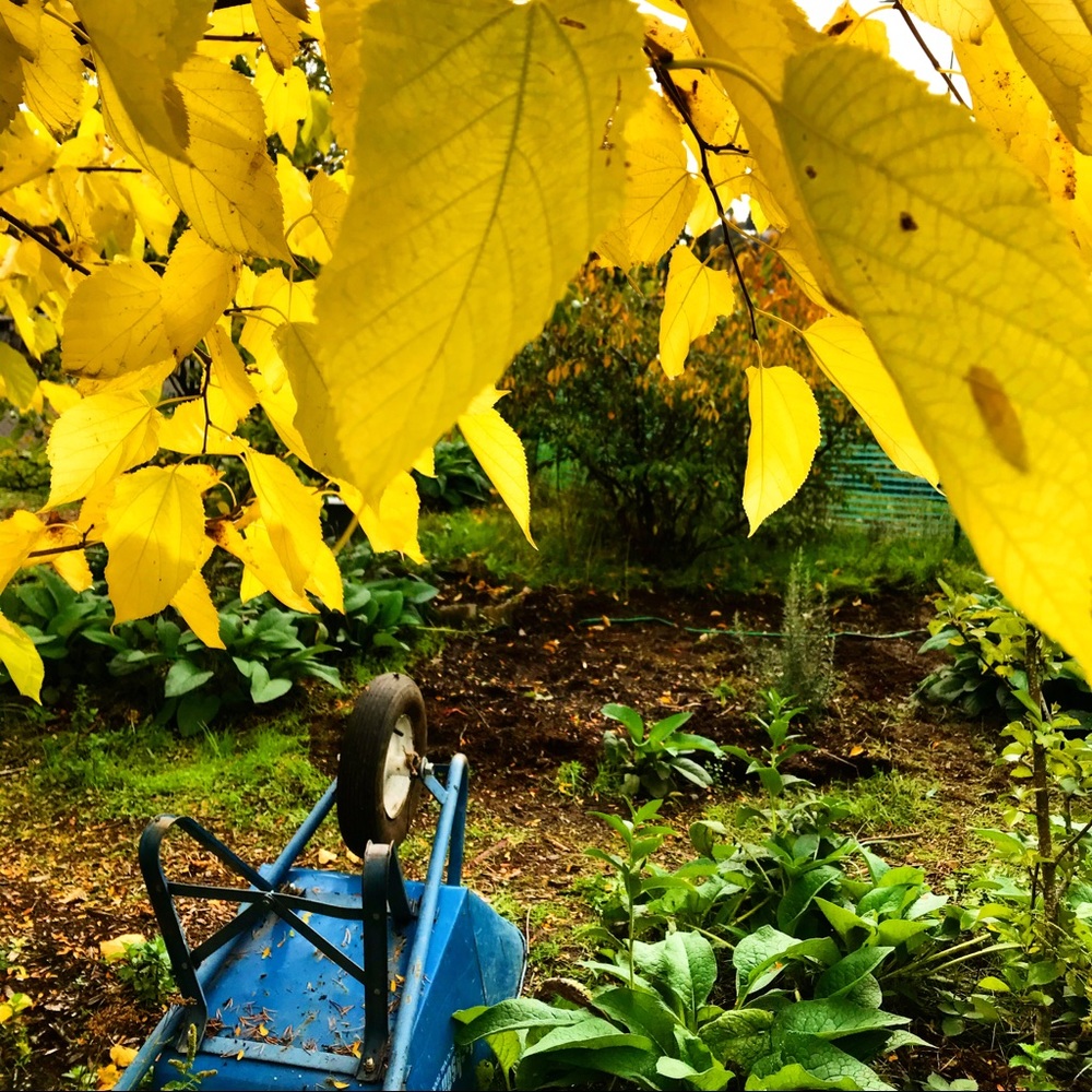 Meet your Posher, Kaitlynn